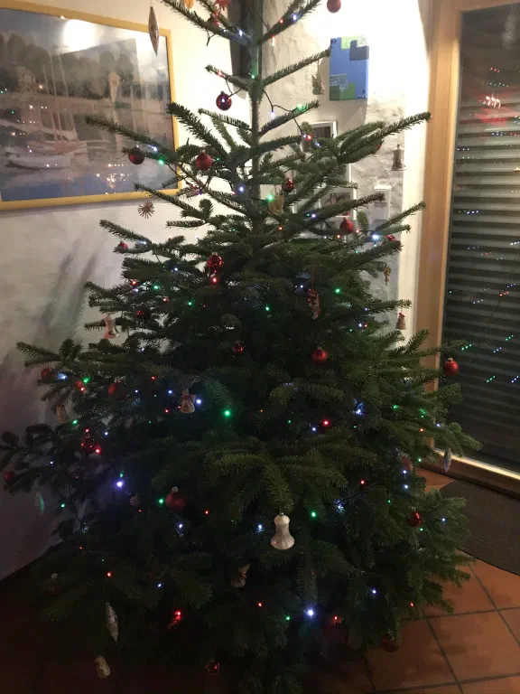 Weihnachtsbaum mit Twinkly Lichterkette